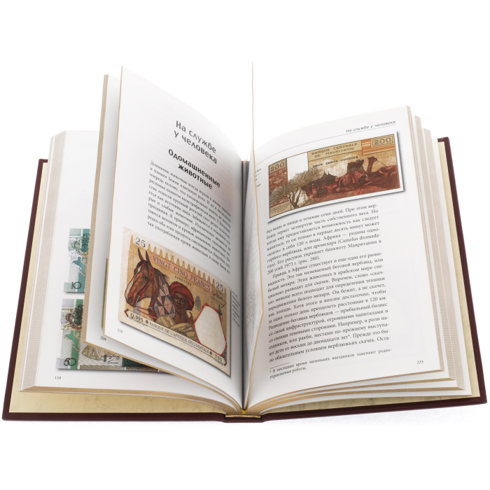 Книга в кожаном переплете "Тайны банкнот. Легенды и факты"