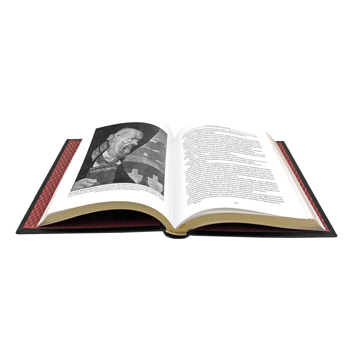 Книга в кожаном переплете "История одного города. Сказки" Салтыков-Щедрин М.Е.