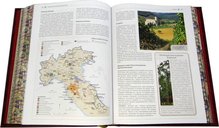 Книга "Ларусс. Вино. Энциклопедия"
