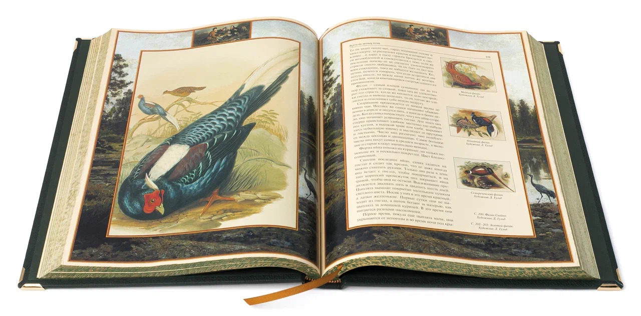 Книга в подарочном футляре "Русская охота"