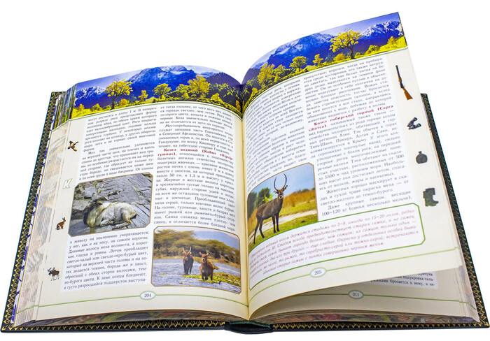Подарочная книга "Русская охота", Л.П.Сабанеев