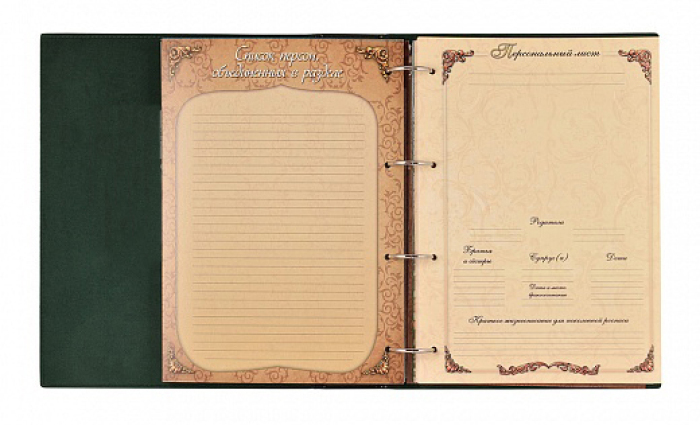 Родословная книга Мусульманская "Мечеть"