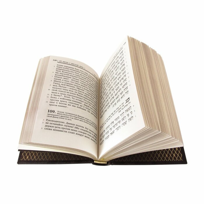 Книга в кожаном переплете "Книга псалмов. Тегилим"