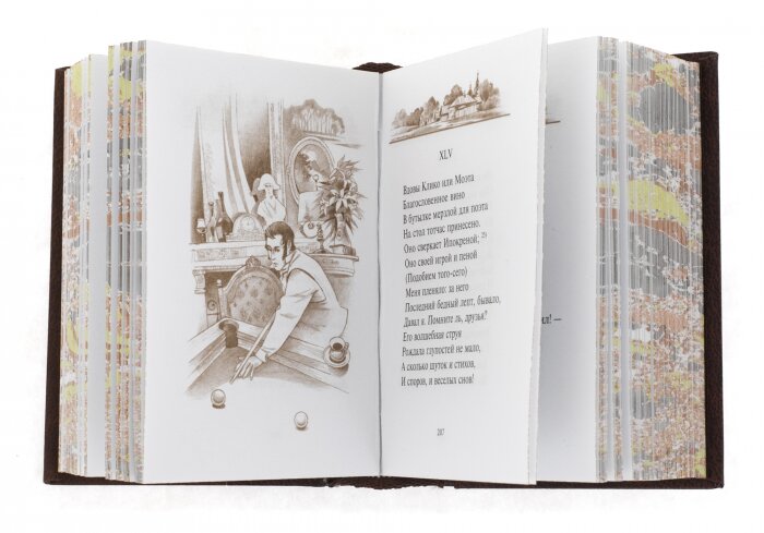 Миниатюрная книга "Евгений Онегин"