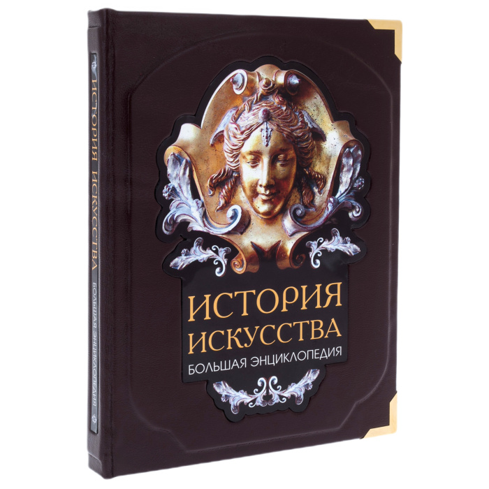 Книга в кожаном переплете "История искусства."