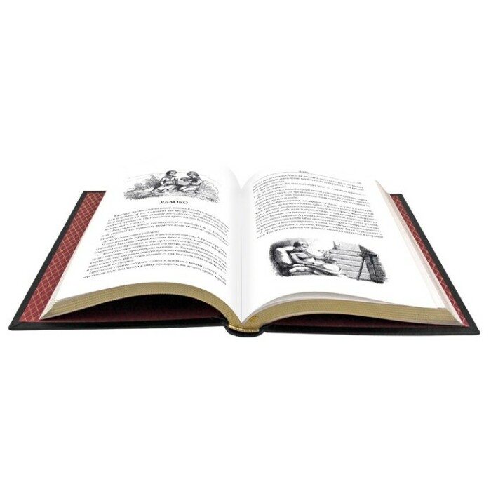 Книга в кожаном переплете "Забытые истории" Андерсен Г. Х.