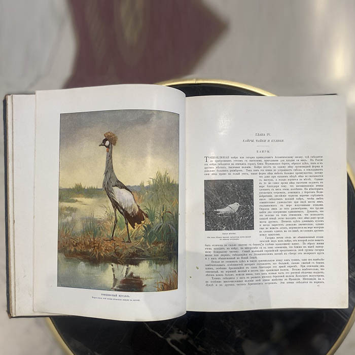 Книгa "Жизнь животных в фотографиях с натуры. Том 2" Корниш Ч.Д., Москва, Издательство И. Кнебель,1901 год