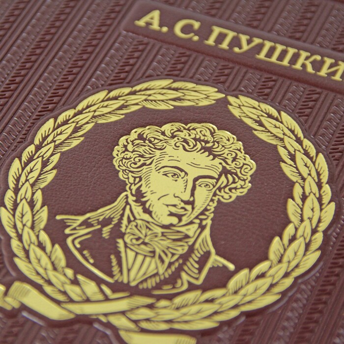 Книга "Избранные стихотворения с иллюстрациями и комментариями" Пушкин А. С.