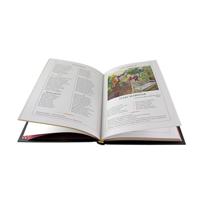 Книга в кожаном переплете  "Евгений Онегин" Пушкин А. С.