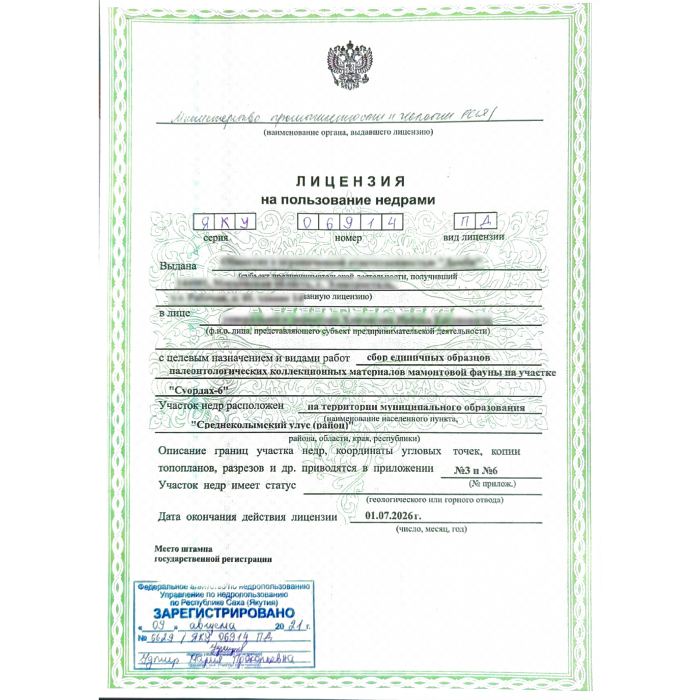 Браслет из бивня мамонта "Тёмный"