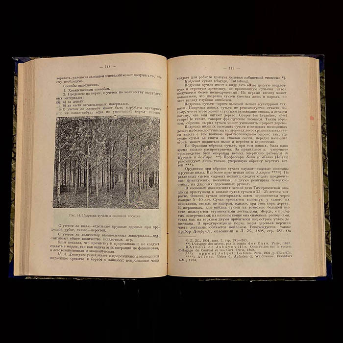 Книга «Очерки по лесоводству». Керн Э.Э., Москва, Новая деревня, 1929 год