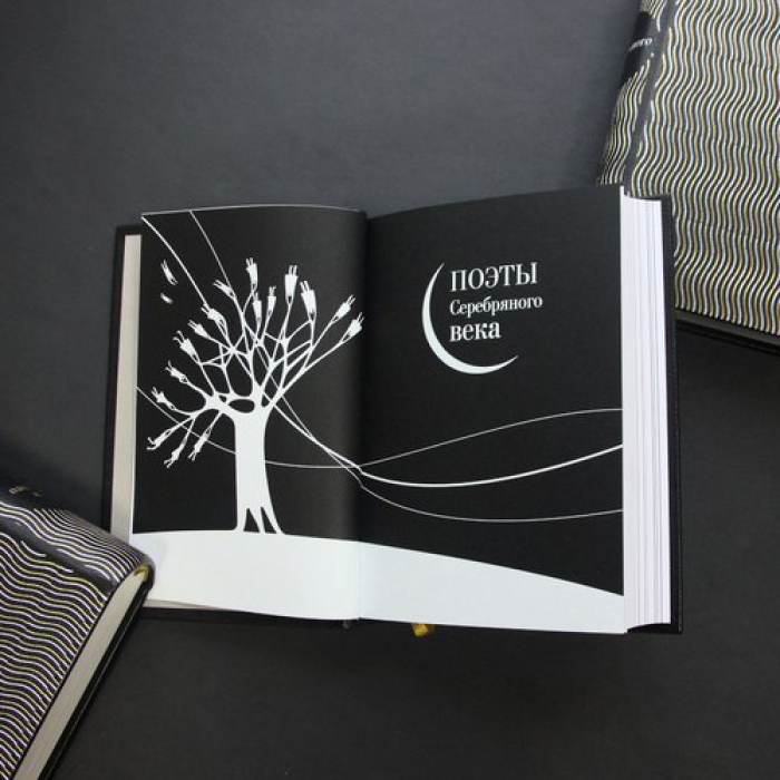Книга в кожаном переплёте "Поэты серебряного века"