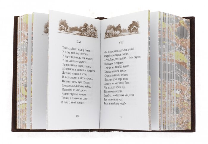 Миниатюрная книга "Евгений Онегин"