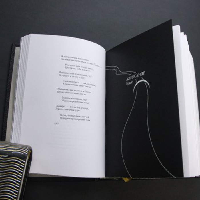 Книга в кожаном переплёте "Поэты серебряного века"