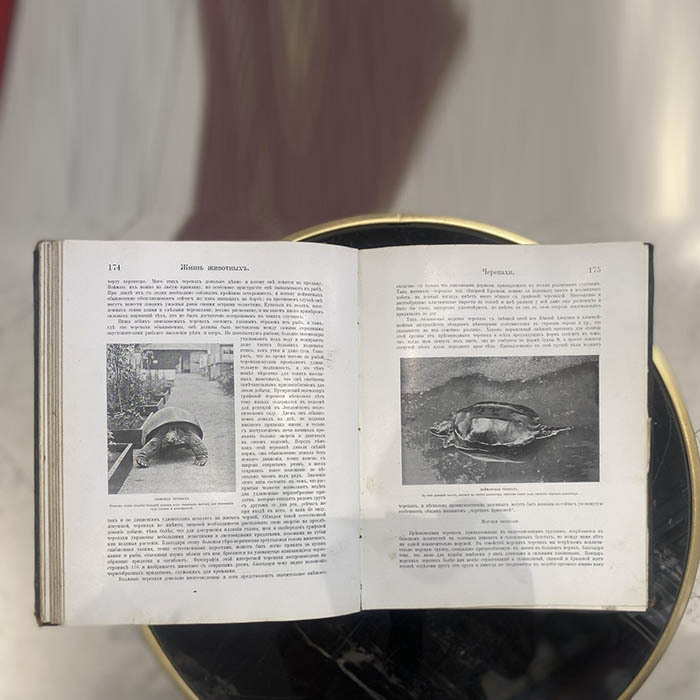 Книгa "Жизнь животных в фотографиях с натуры. Том 2" Корниш Ч.Д., Москва, Издательство И. Кнебель,1901 год