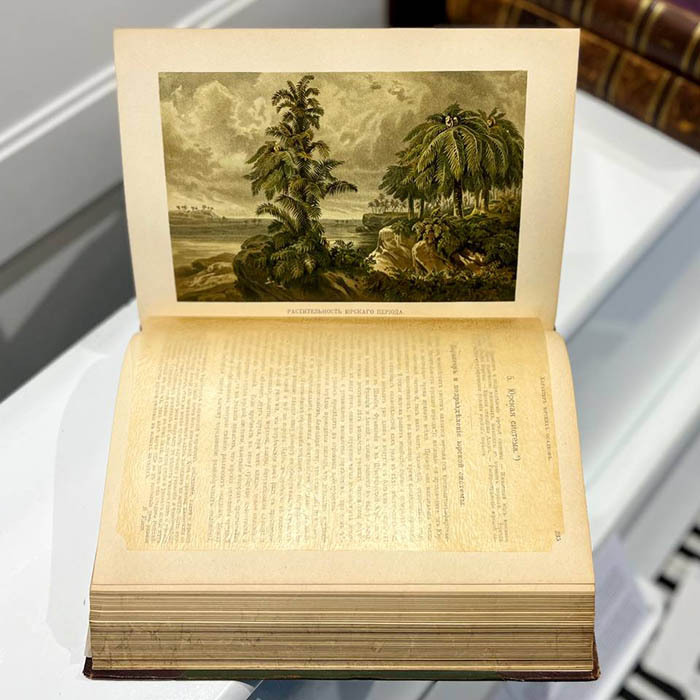 Книга "История Земли". Неймайер М., Санкт-Петербург, 1900 год