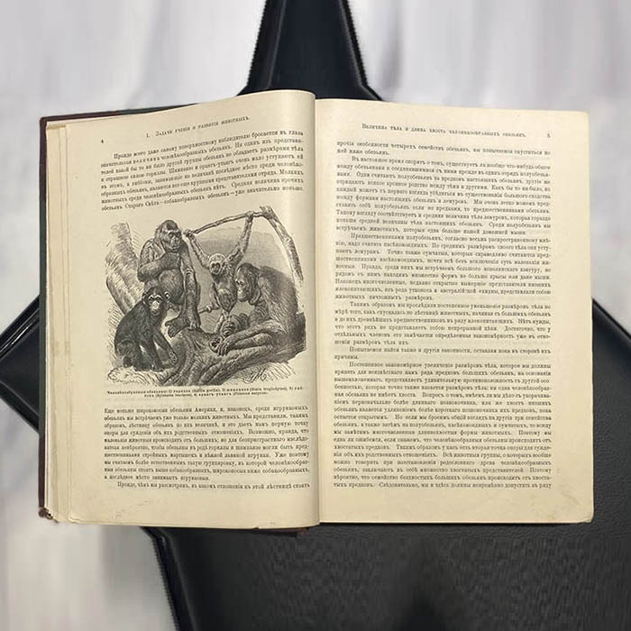 Книга "Происхождение животного мира" Вильгельма Гааке 1903г.