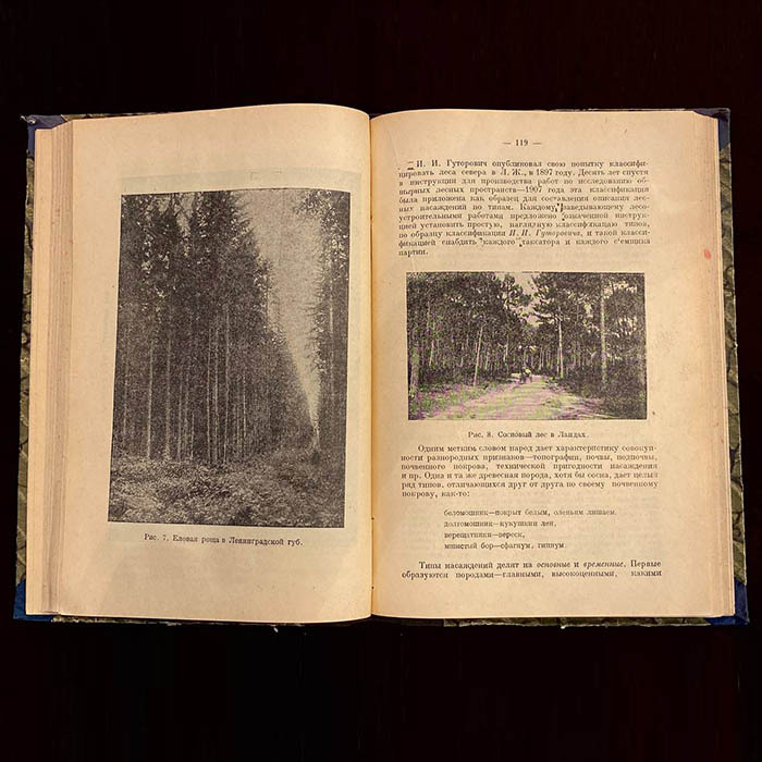 Книга «Очерки по лесоводству». Керн Э.Э., Москва, Новая деревня, 1929 год