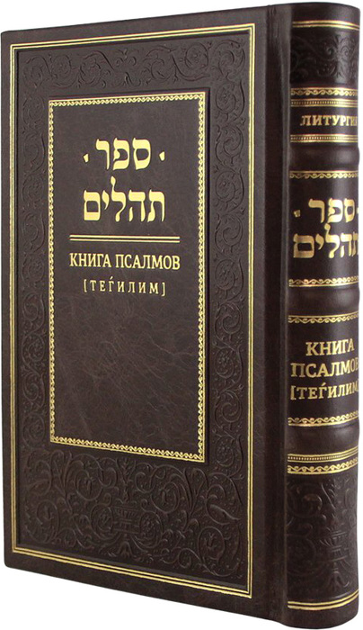 Книга в кожаном переплете "Книга псалмов. Тегилим"