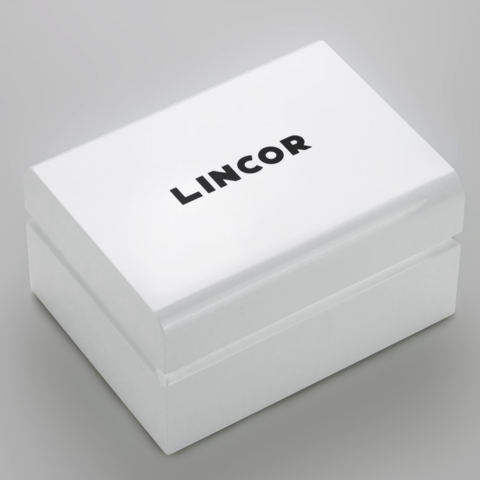 Наручные механические часы Lincor "ART Соло" с автоподзаводом, серебристые с темно-голубым ремешком