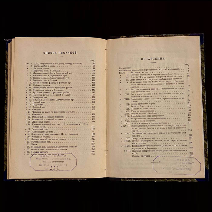 Книга «Очерки по лесоводству». Керн Э.Э., Москва, Новая деревня, 1929 год