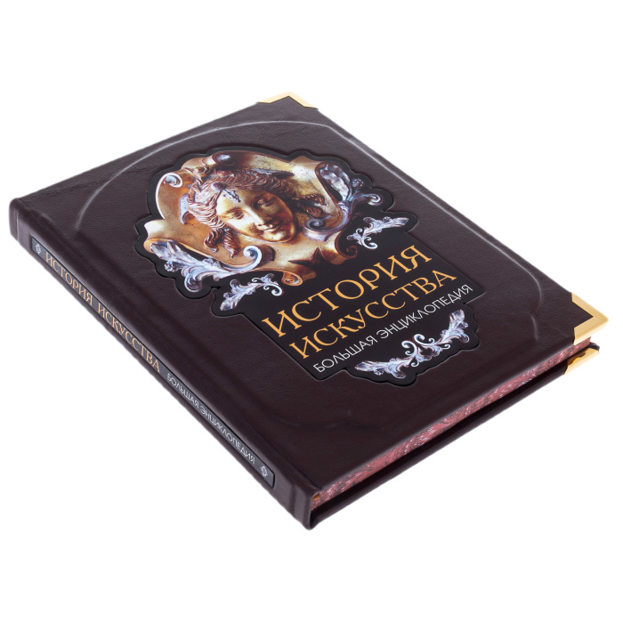 Книга в кожаном переплете "История искусства."