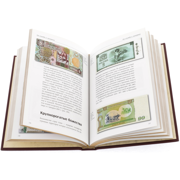 Книга в кожаном переплете "Тайны банкнот. Легенды и факты"