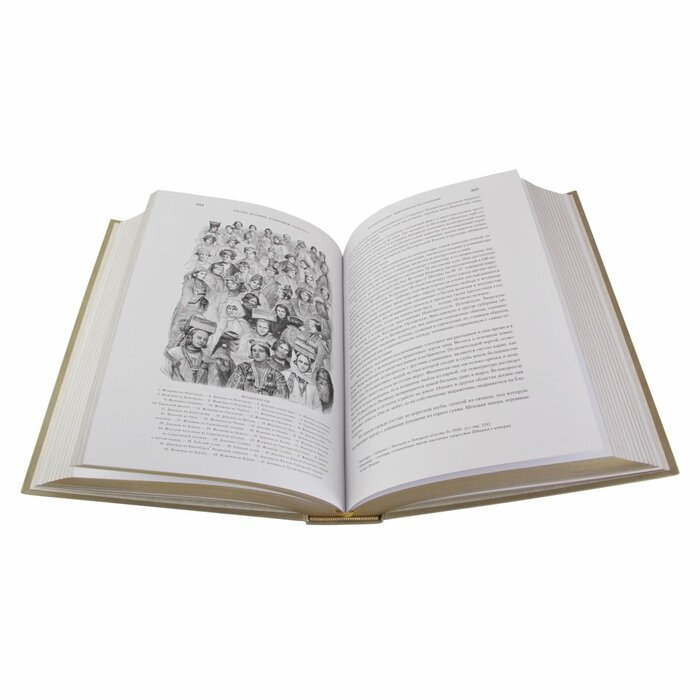 Книга в кожаном переплете "Россия. История, памятники, культура"