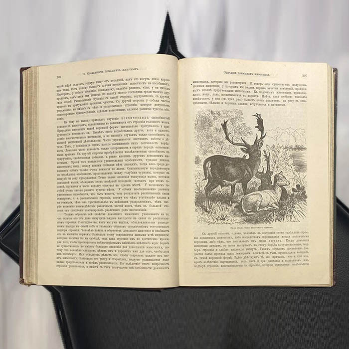 Книга "Происхождение животного мира" Вильгельма Гааке 1903г.