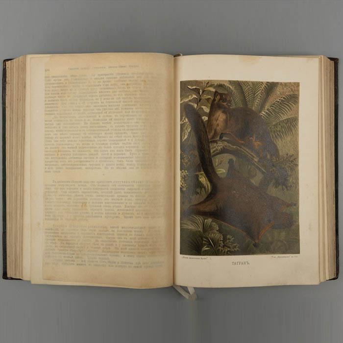 Книга «Жизнь животных Брэма», Брем А.Э, Санкт-Петербург, 1902 г.