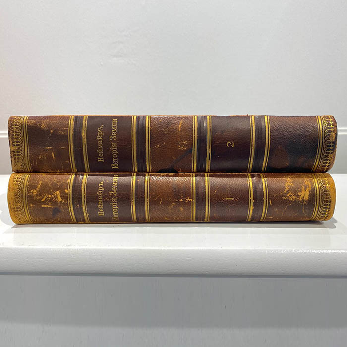 Книга "История Земли". Неймайер М., Санкт-Петербург, 1900 год
