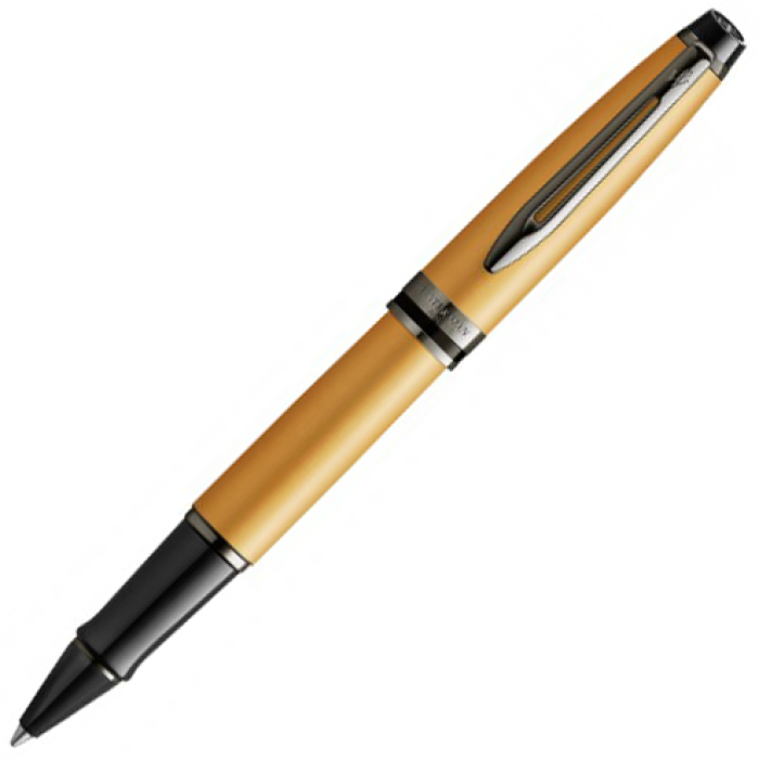 Ручка-роллер Waterman Expert Gold F BLK в подарочной упаковке