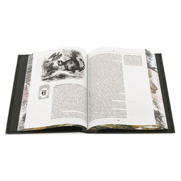 Набор подарочный "Русская охота" со статуэткой и книгой