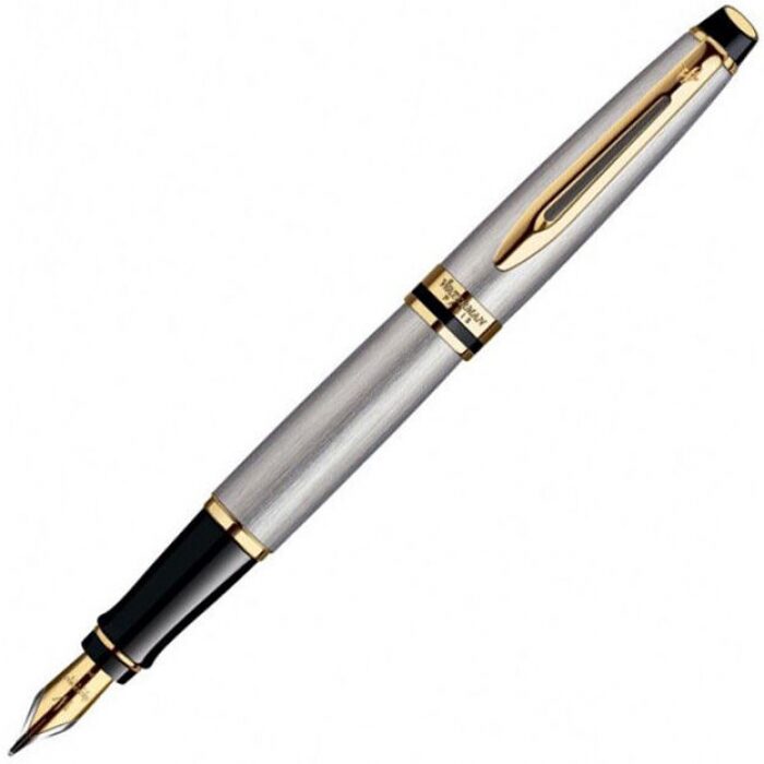 Ручка перьевая "Expert 3" Stainless Steel GT F