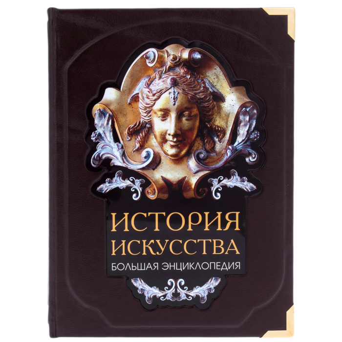 Книга в кожаном переплете "История искусства."