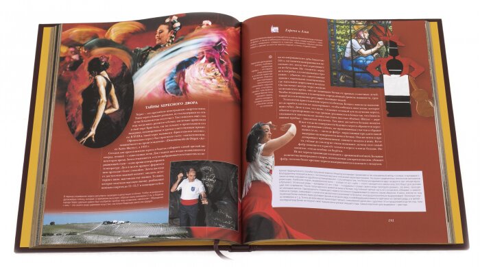 Подарочная книга в кожаном переплёте "Крепкие напитки: Вино"