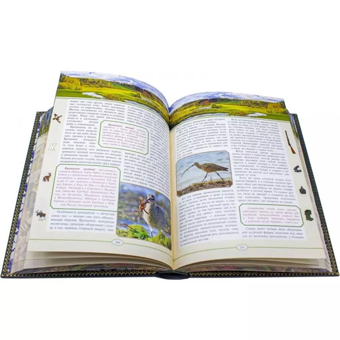 Подарочная книга "Русская охота", Л.П.Сабанеев