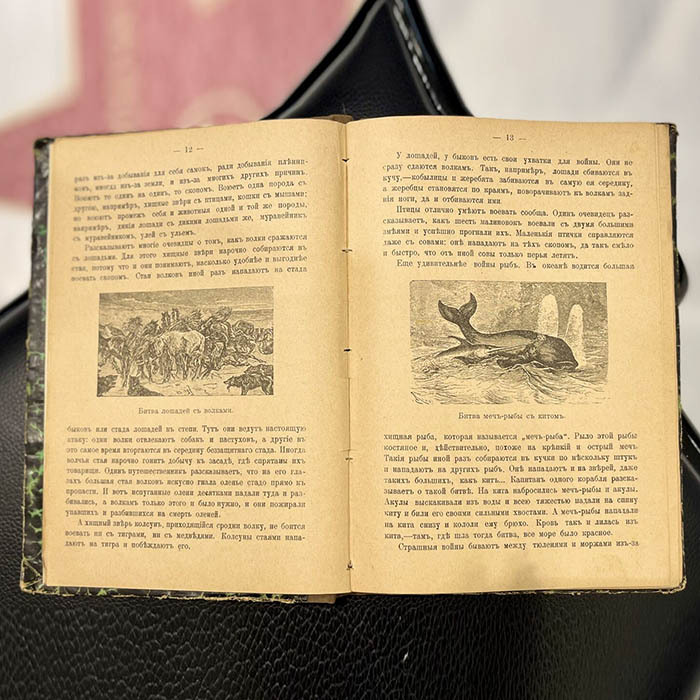 Книга «Рассказы о великих событиях разных времен и народов. Великие войны и борьба с войной». Рубакин Н.А., Санкт-Петербург, Издание Е.Д. Трауцкой, 1911 год.